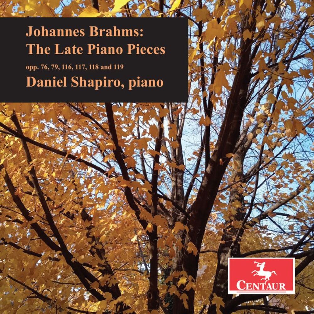 Daniel Shapiro - Brahms: The Late Piano Pieces  CD